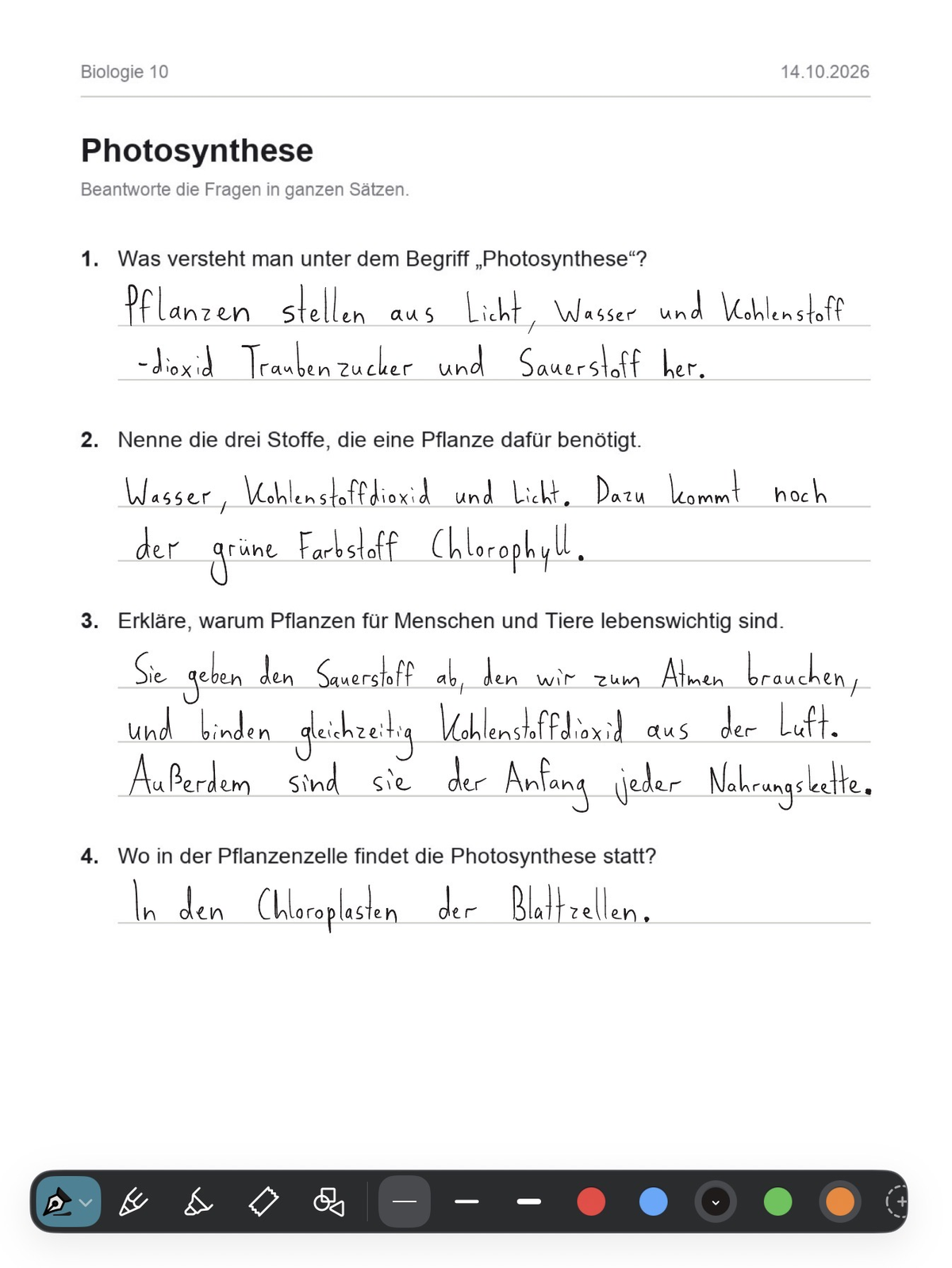 Dasselbe Arbeitsblatt, ausgefüllt in Handschrift